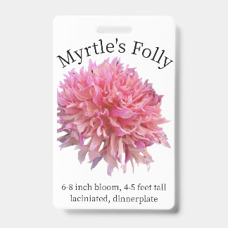 Myrtle's Folly Dahlia ID Badge