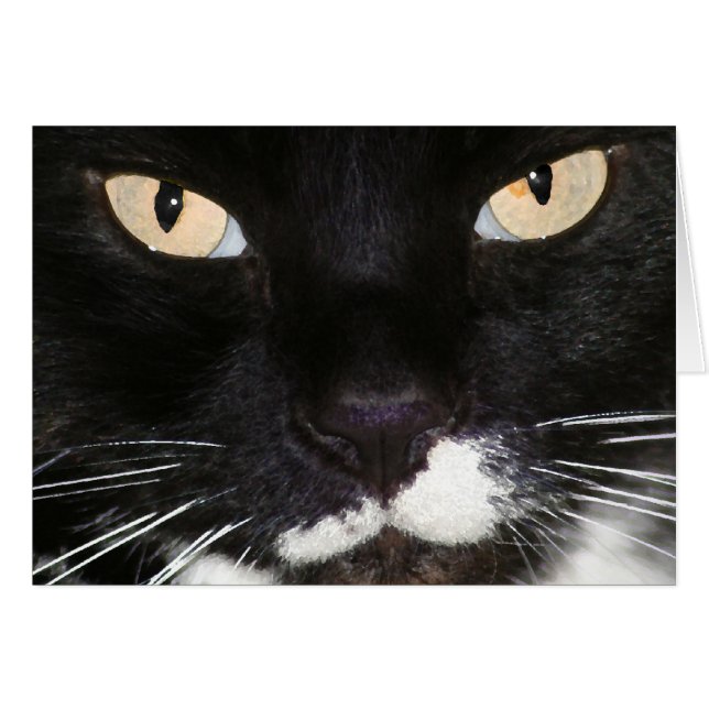 Mysterious (Front Horizontal)