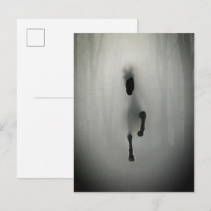 Mysterious Black Horse Running in Misty Fog Forest Postcard