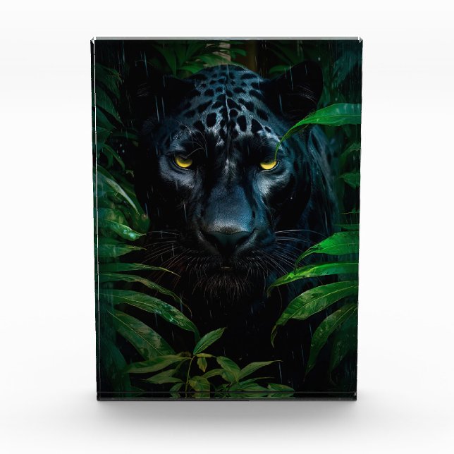 Mysterious Black Panther Jungle Wildlife Design Photo Block (Front)