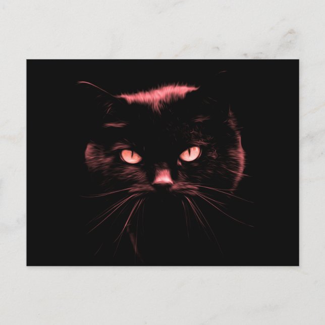 Mysterious Cat Postcard (Front)