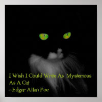 Mysterious Cat