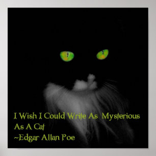 Mysterious Cat Poster