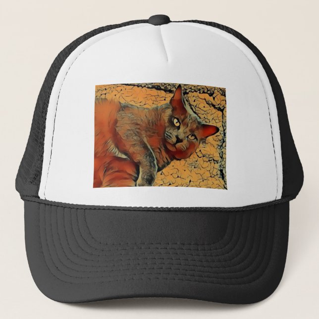 Mysterious Cat Trucker Hat (Front)