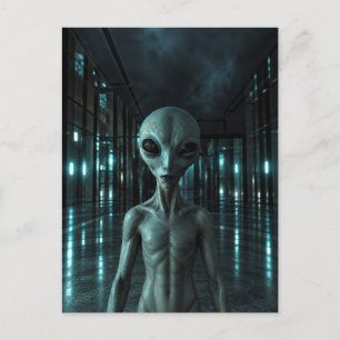 Mysterious Grey Alien Postcard
