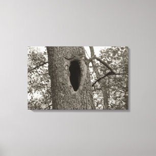 Mysterious Hole (Sepia) Canvas Print