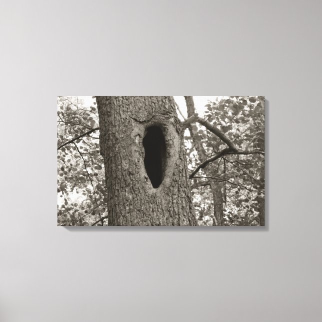 Mysterious Hole (Sepia) Canvas Print (Front)