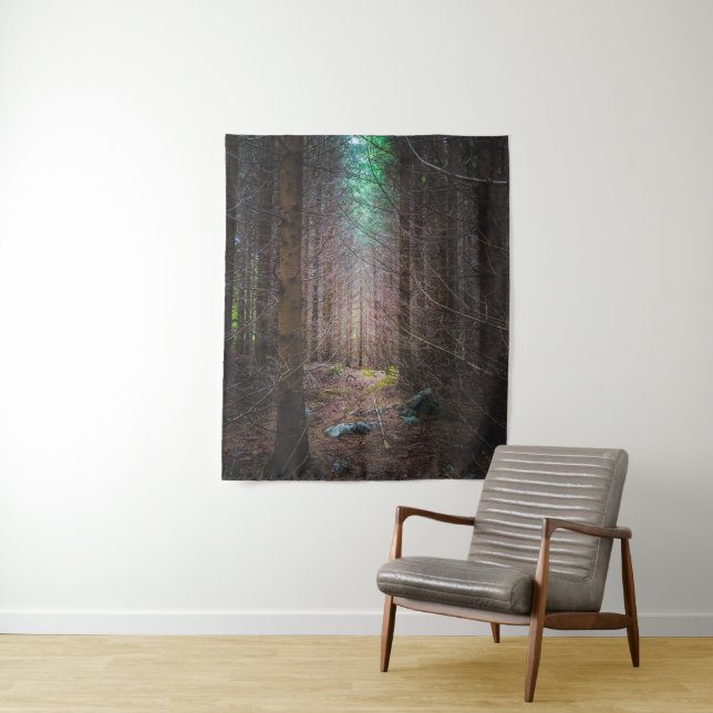 Mysterious spruce forest tapestry (In Situ)