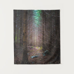 Mysterious spruce forest tapestry