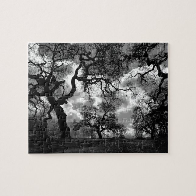 Mystery Black and White Trees Jigsaw Puzzle (Horizontal)