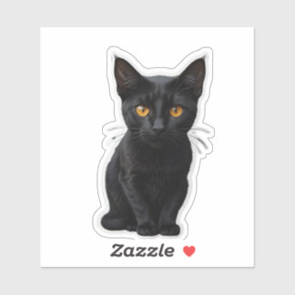Mystery black cat with sharp eyes