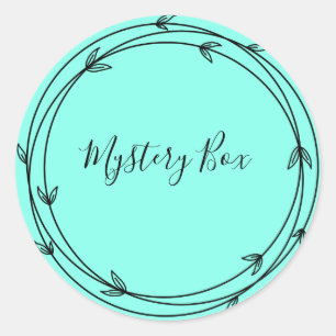 Mystery Box Surprise Classic Round Sticker