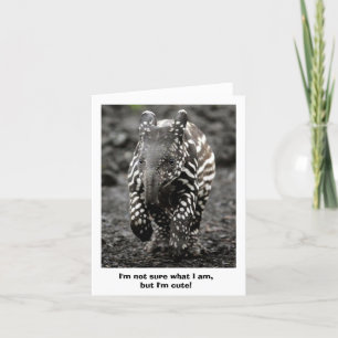 Mystery Critter Card