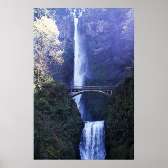 Mystery Falls Poster (Front)