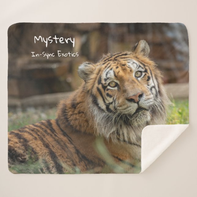 Mystery -  sherpa blanket (Front (Horizontal))