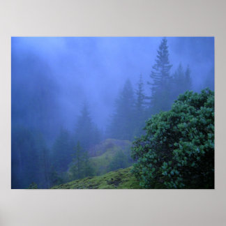 Mystery Trees Poster