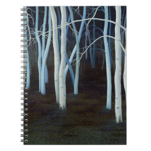 Mystic 2004 spiral notebook