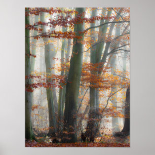 Mystic Foggy Forest in autumn Poster