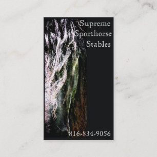 Mystic Friesian Business Card