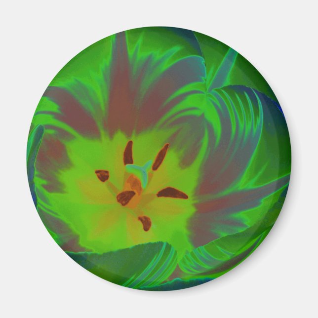 Mystic Green Tulip Magnet (Front)