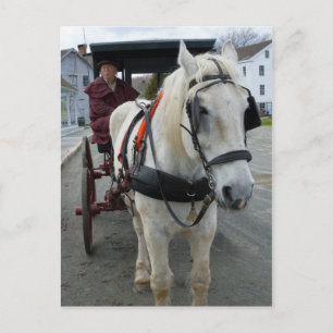Mystic Horse Postcards