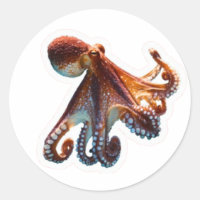 Mystic Ocean Octopus - Artistic Deep Sea Creature