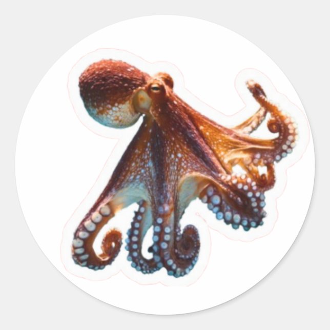 Mystic Ocean Octopus - Artistic Deep Sea Creature  Classic Round Sticker (Front)