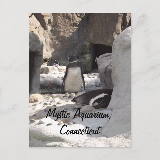 Mystic Postcard (Front)