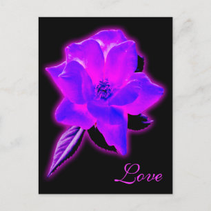 Mystic rose purple neon glow postcard