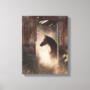 Mystical Black Horse Forest Glow Art Canvas Print