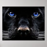 Mystical Blue Eyed Cat Poster