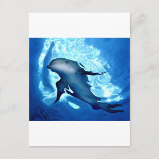 Mystical Dolphin.jpg Postcard