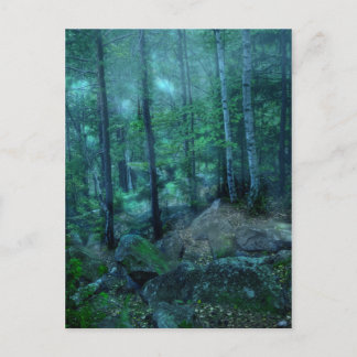 Mystical forest postcard