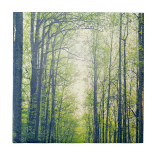Mystical forest tile