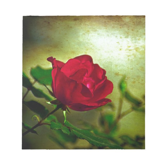Mystical Garden Gothic Valentine's day Red Rose Notepad (Front)