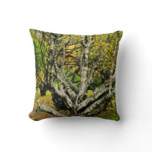 Mystical Gnarled Karelian Birch Tree