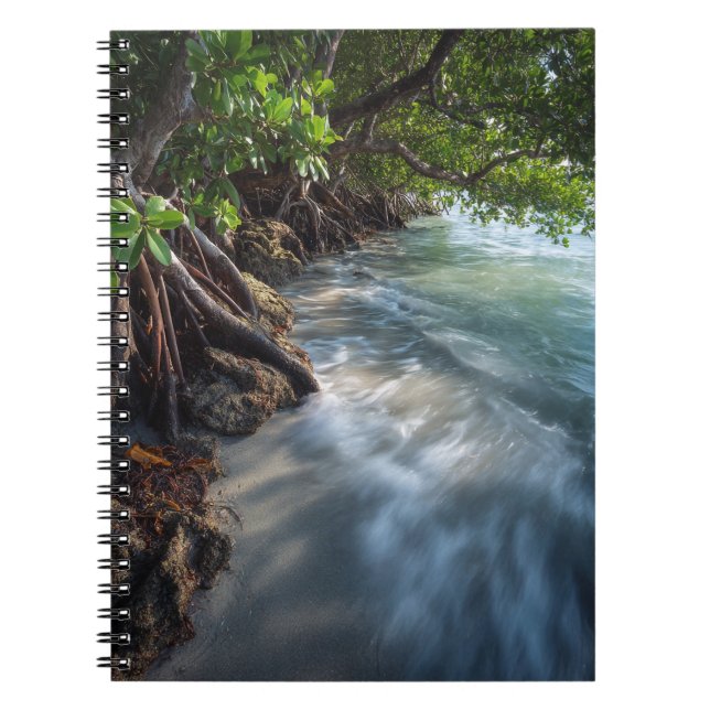 Mystical Mangrove Shoreline Ocean Scene Notebook (Front)