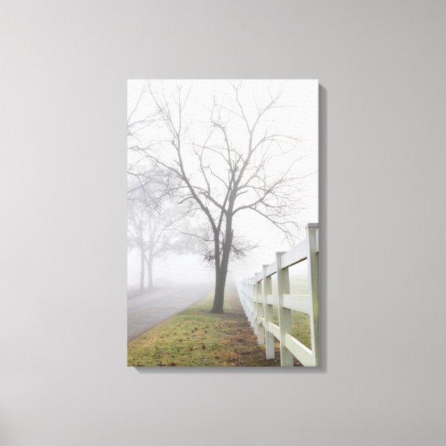 Mystical Misty Morning Canvas Print (Front)