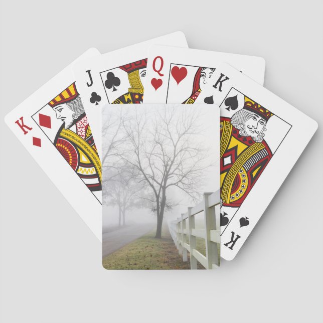 Mystical Misty Morning Playing Cards (Back)