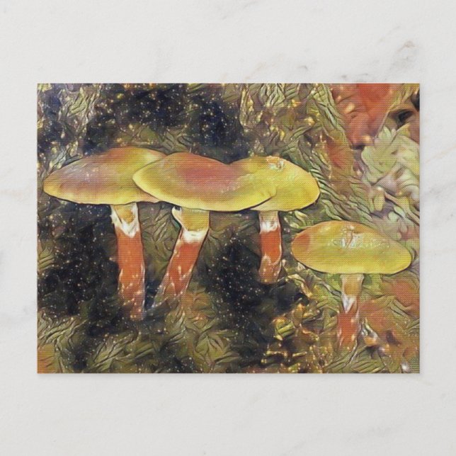 Mystical Mushrooms Postcard (Front)