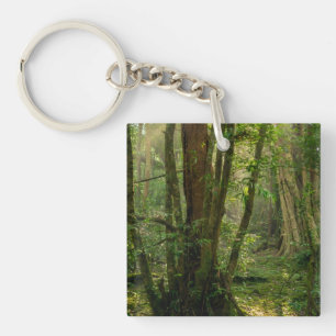 Mystical Namal Uyana Forest - Ancient Ironwood Key Ring
