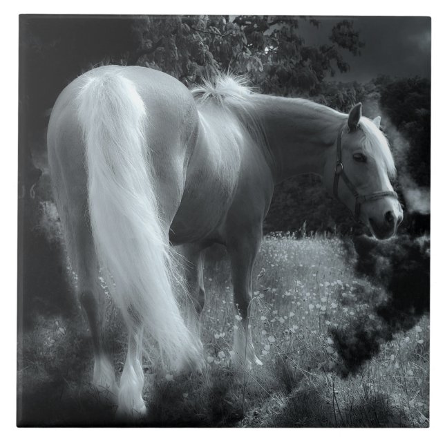 mystical night horse tile (Front)