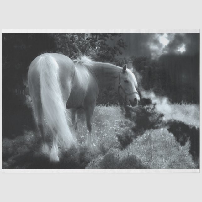 mystical night horse tissue paper (Front)