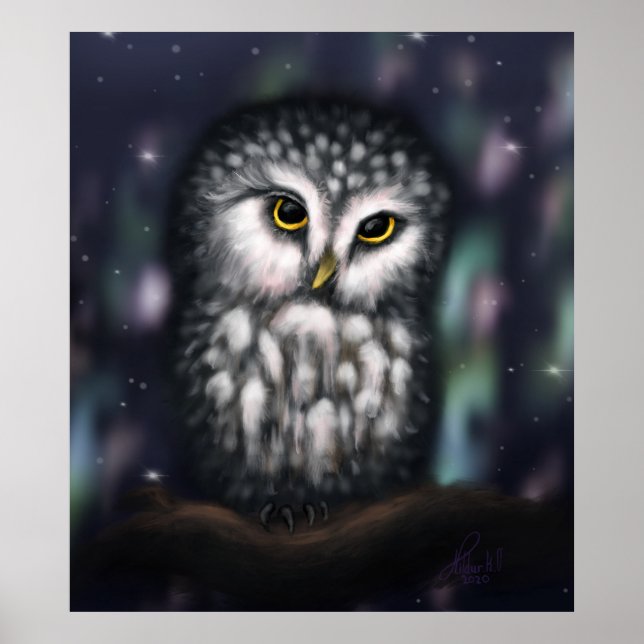 Mystical Owl in Northern Nightfall Poster (Front)