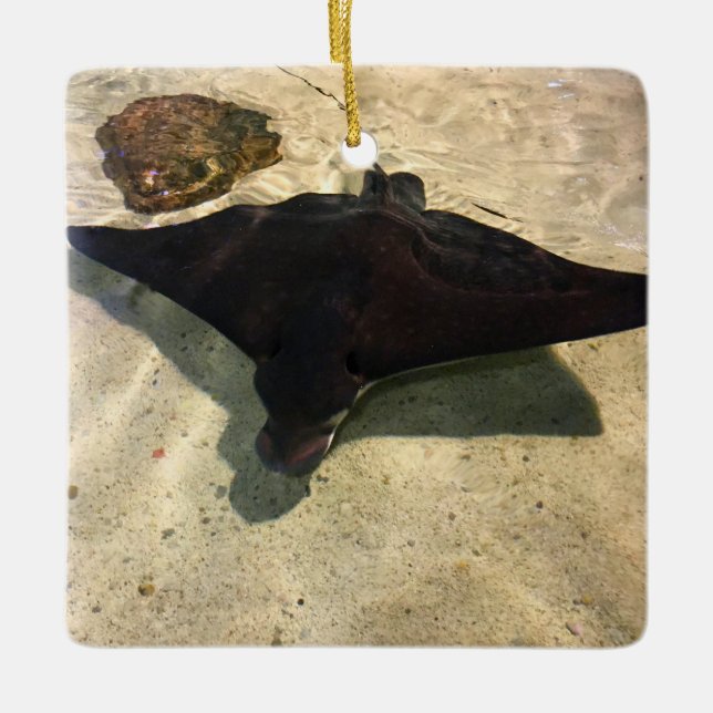 Mystical Stingray Ceramic Ornament (Front)