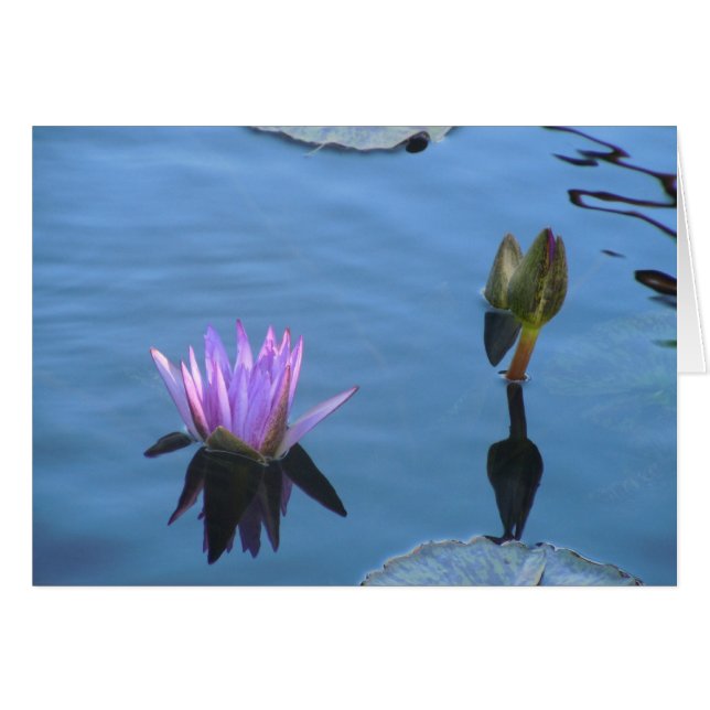 Mystical Waters (Front Horizontal)