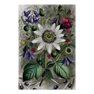Mystical Woodland Moth Poster