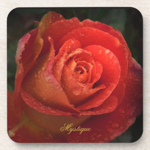 Mystique Dark Botanical Red Orange Rose Coaster