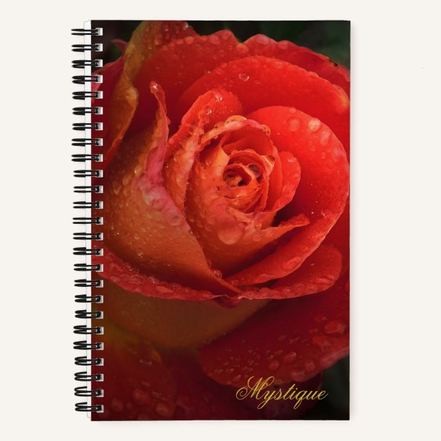 Mystique Dark Botanical Red Orange Rose Journal (Front)