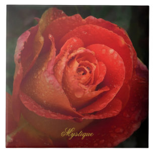 Mystique Dark Botanical Red Orange Rose Tile
